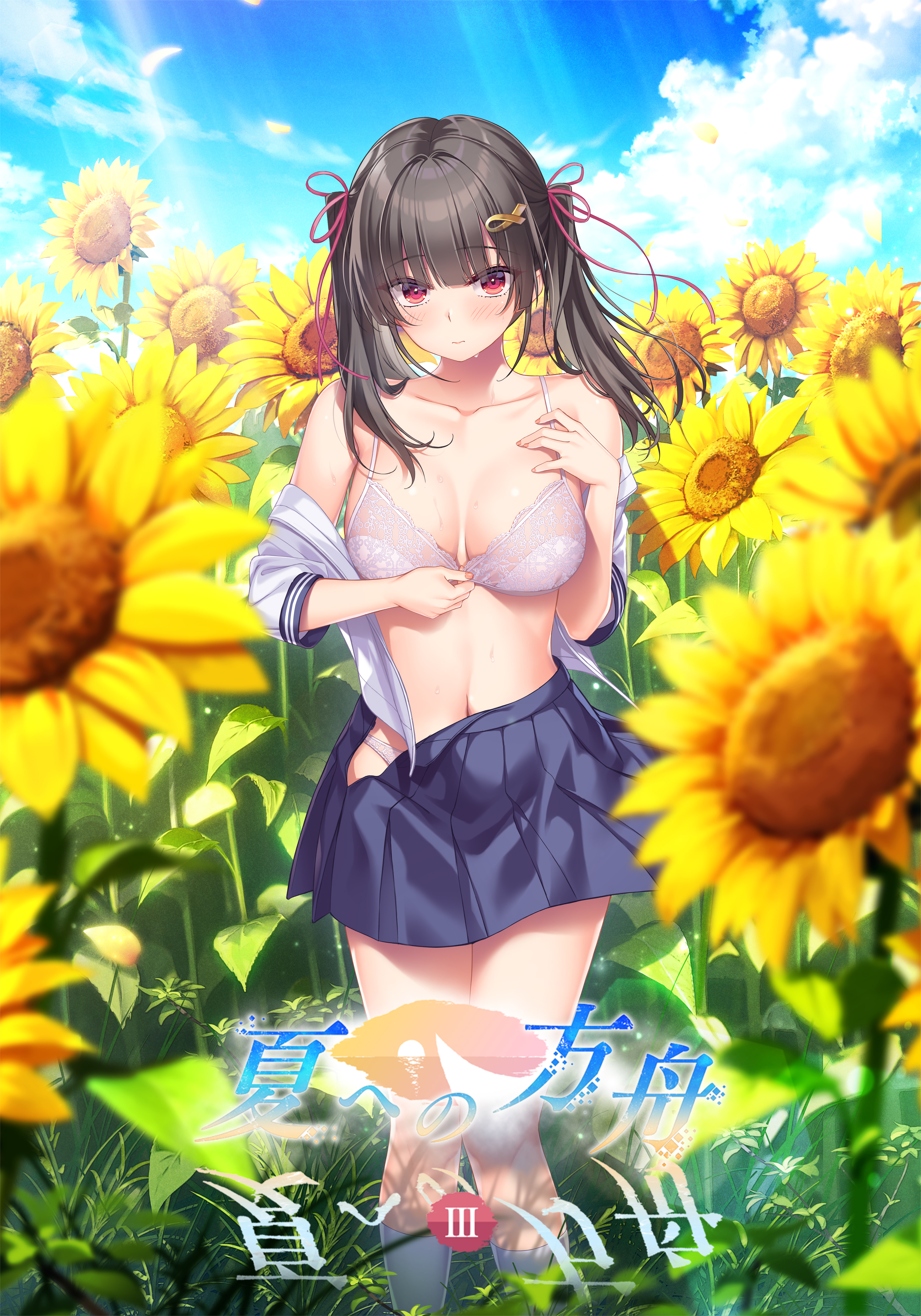 夏への方舟3【简中】