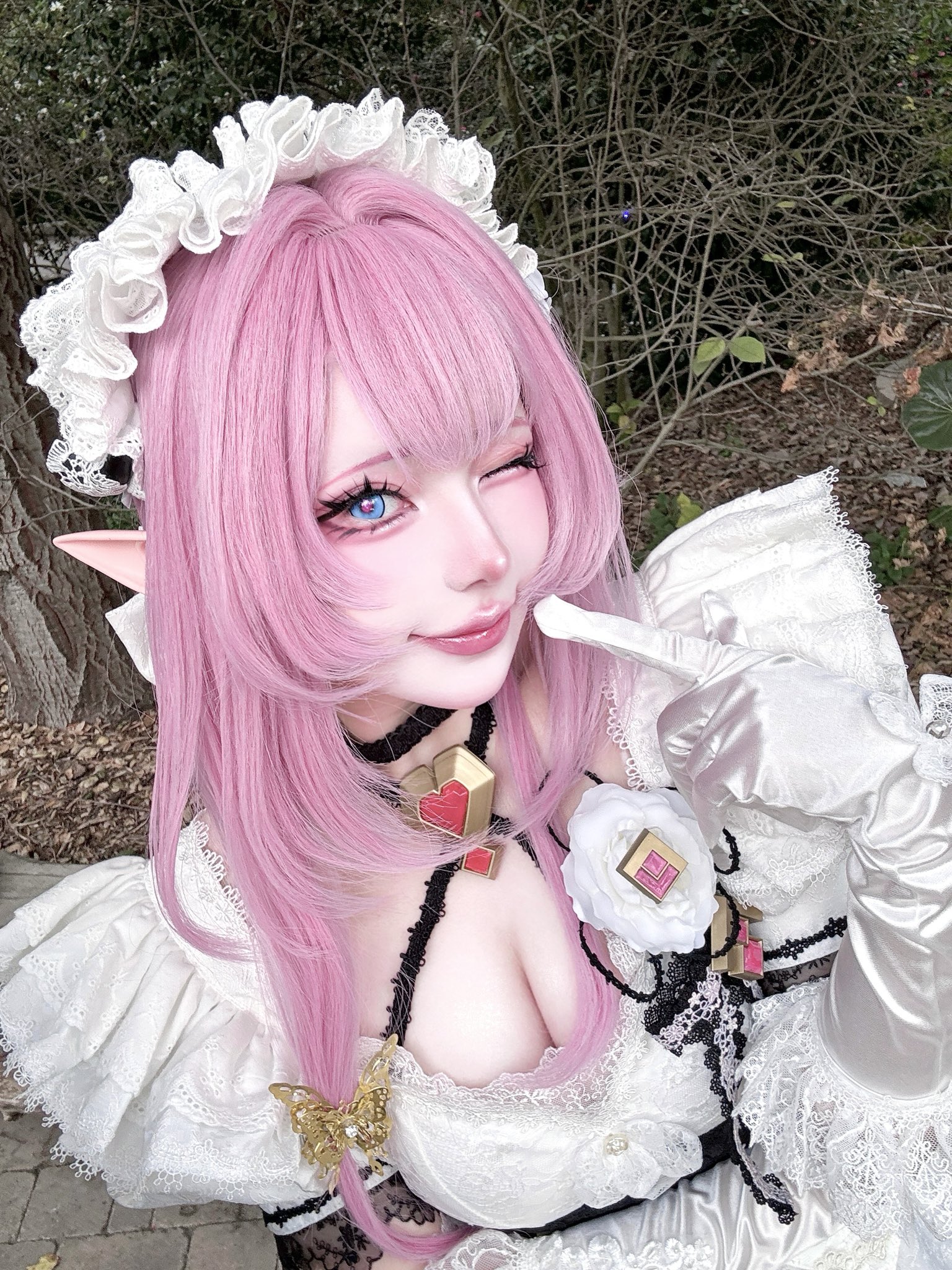 kusa  Holo Expo D1/2/3